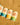 Discovery Bundle
